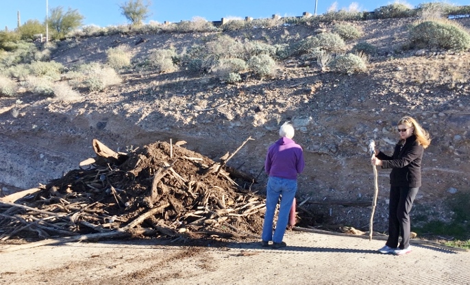 Carol and me at a woodpile